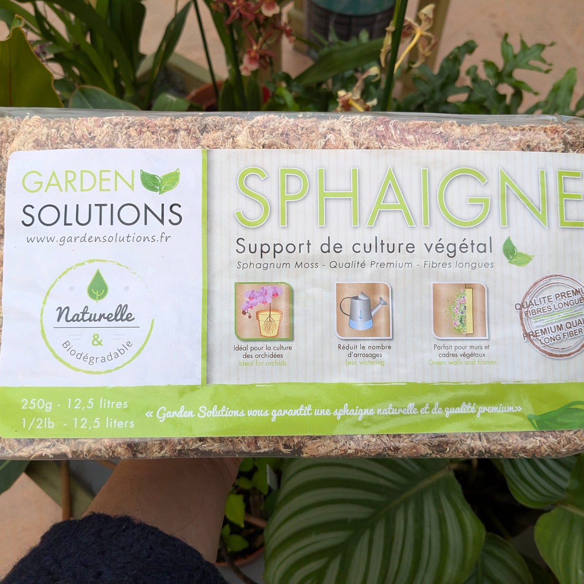 Sphaigne Compressée 5L / 425g - Substrat Naturel Pour Orchidées, Boutures, Terrariums - Rétention D'eau Optimale Sphaigne Compressée 5L / 425g - Substrat Naturel Pour Orchidées, Boutures, Terrariums - Rétention D'eau Optimale
