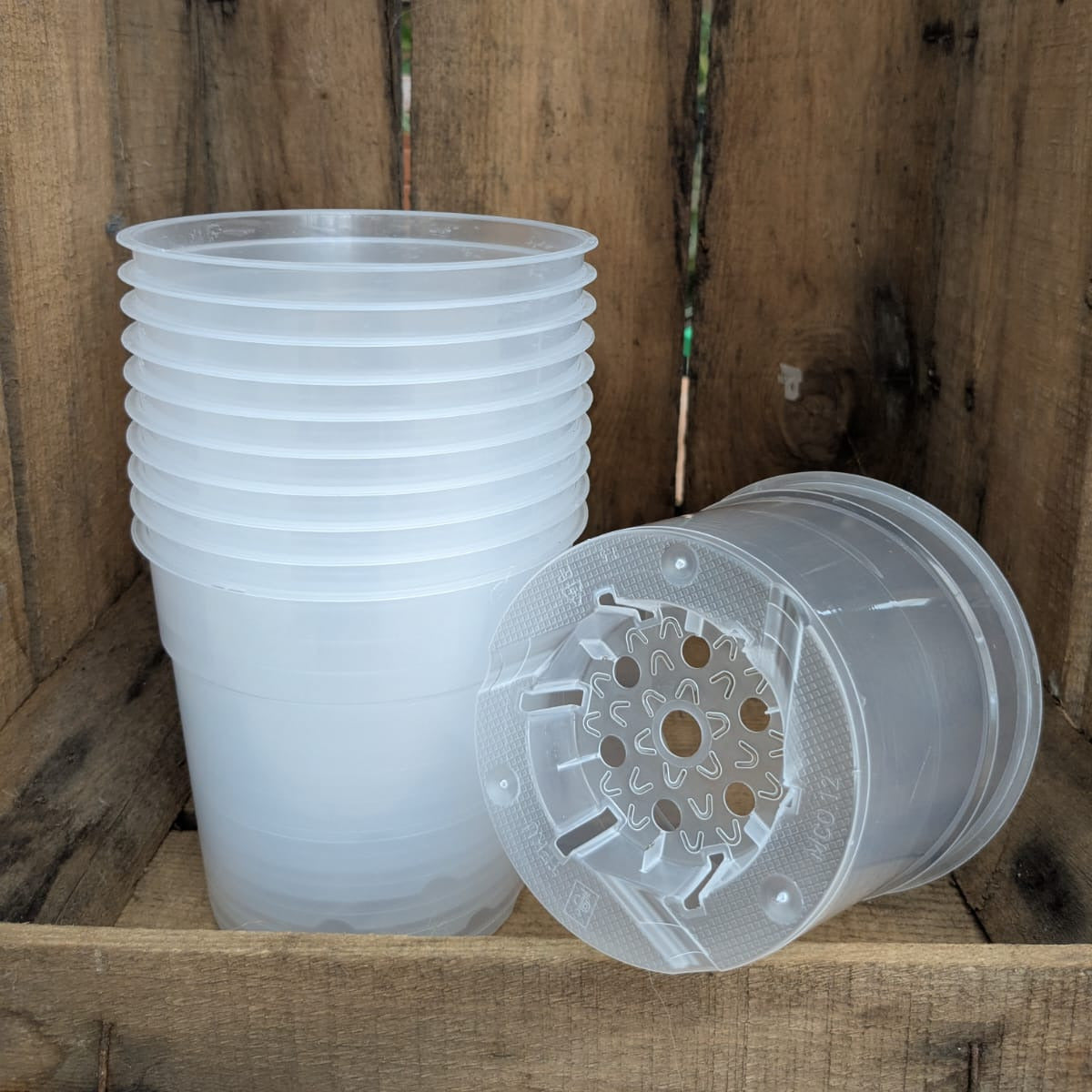 Pots transparents 12 cm