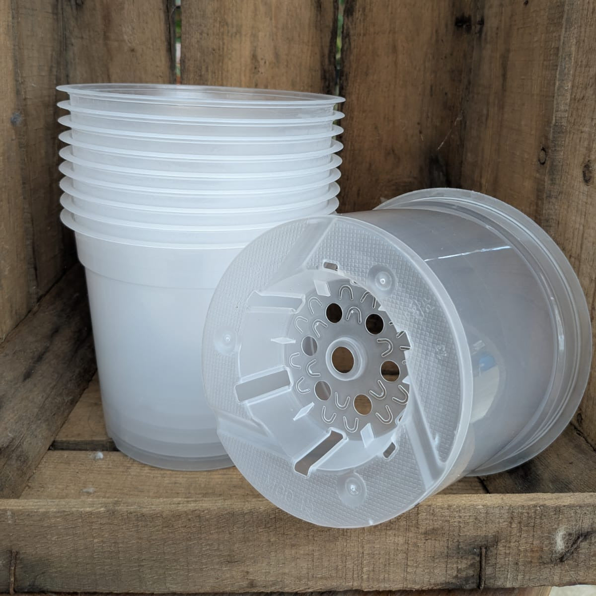 Pots transparents 15cm