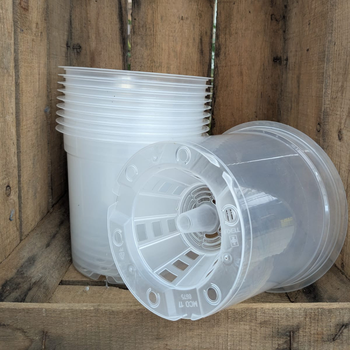 Pots transparents 17cm