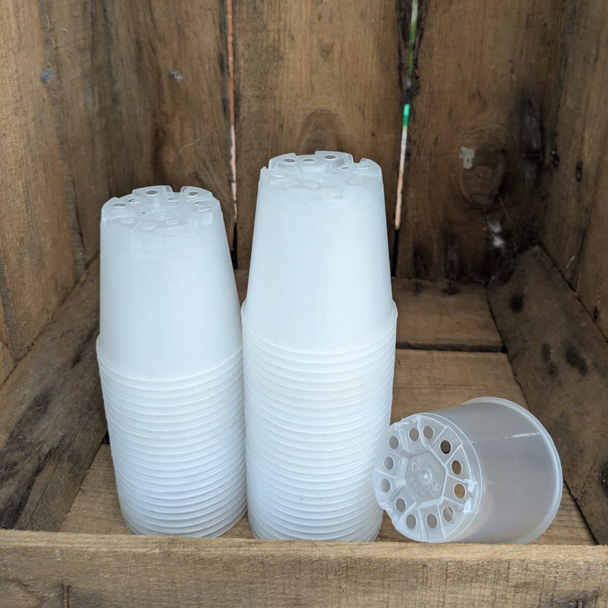 Pots transparents 6 cm