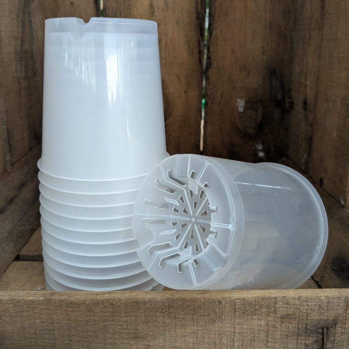 Pots transparents 9 cm