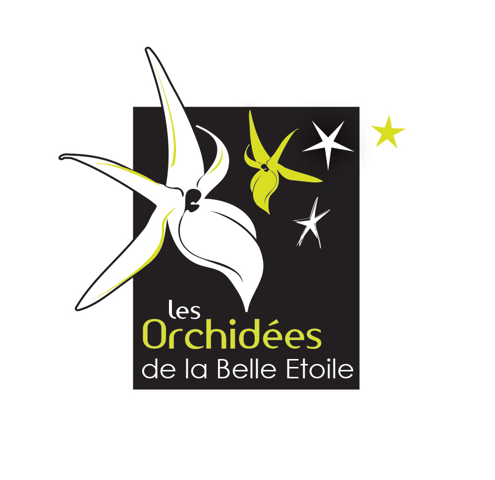 logo OBE