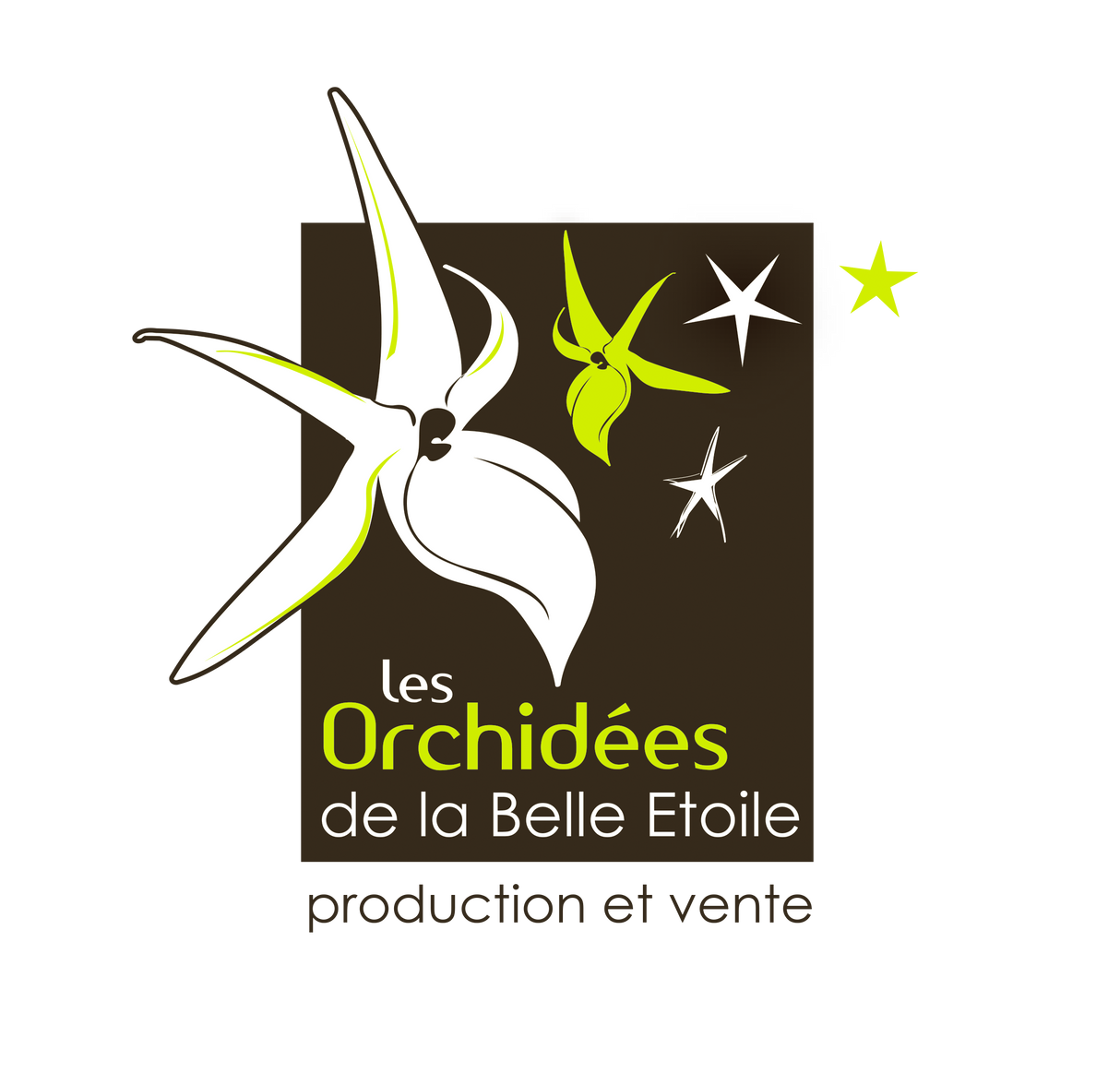 Masdevallia niesseniae