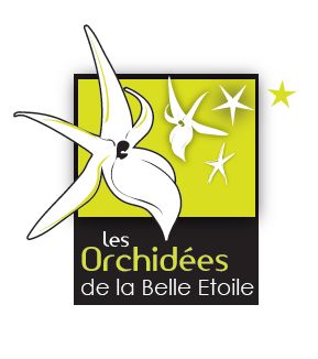 Logo de l'entreprise les Orchidées de la Belle Etoile