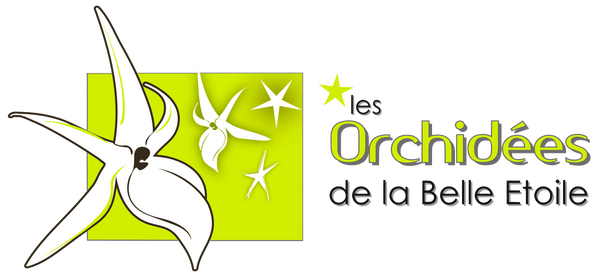 Les Orchidées de la Belle Etoile