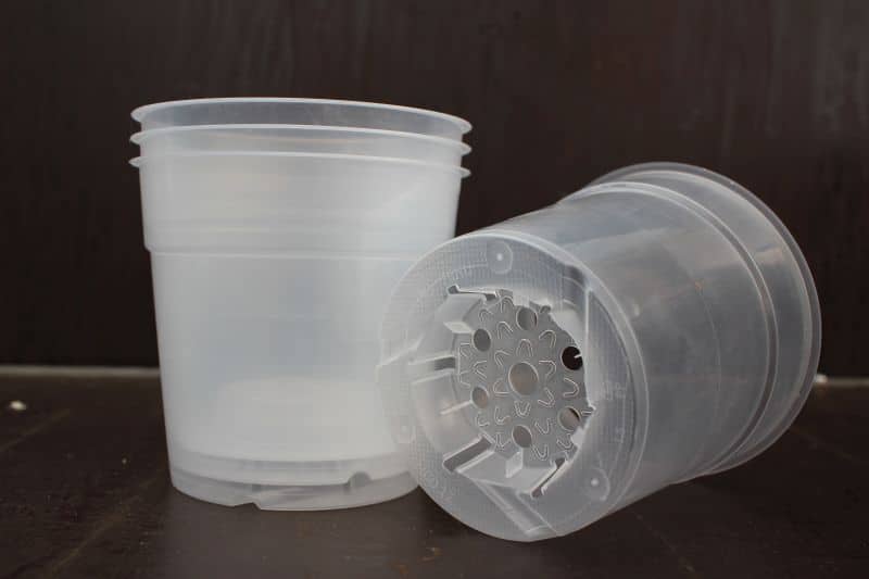 Pots transparents 12 cm