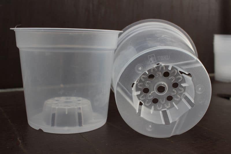 Pots transparents 15cm