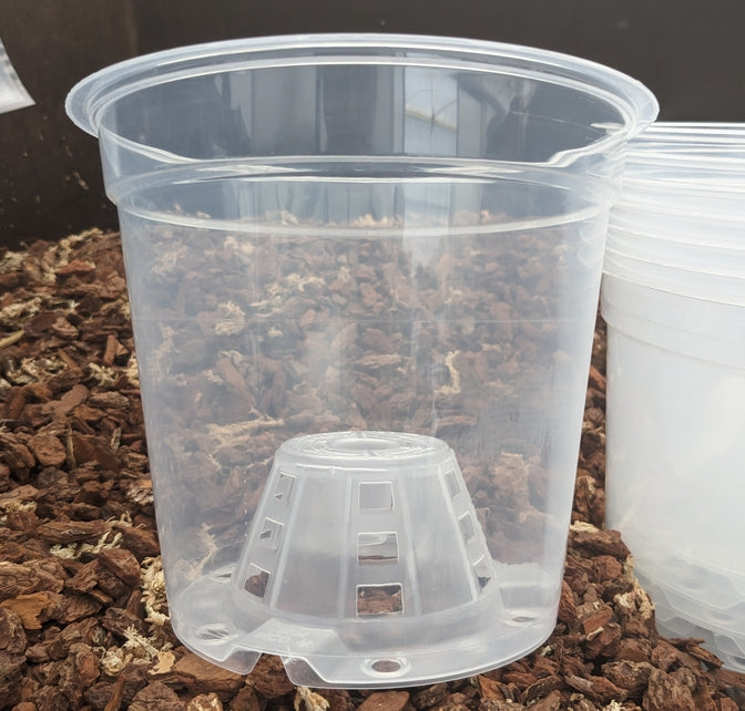 Pot plastique 17cm transparent