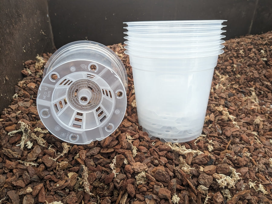 Pot plastique 17cm transparent