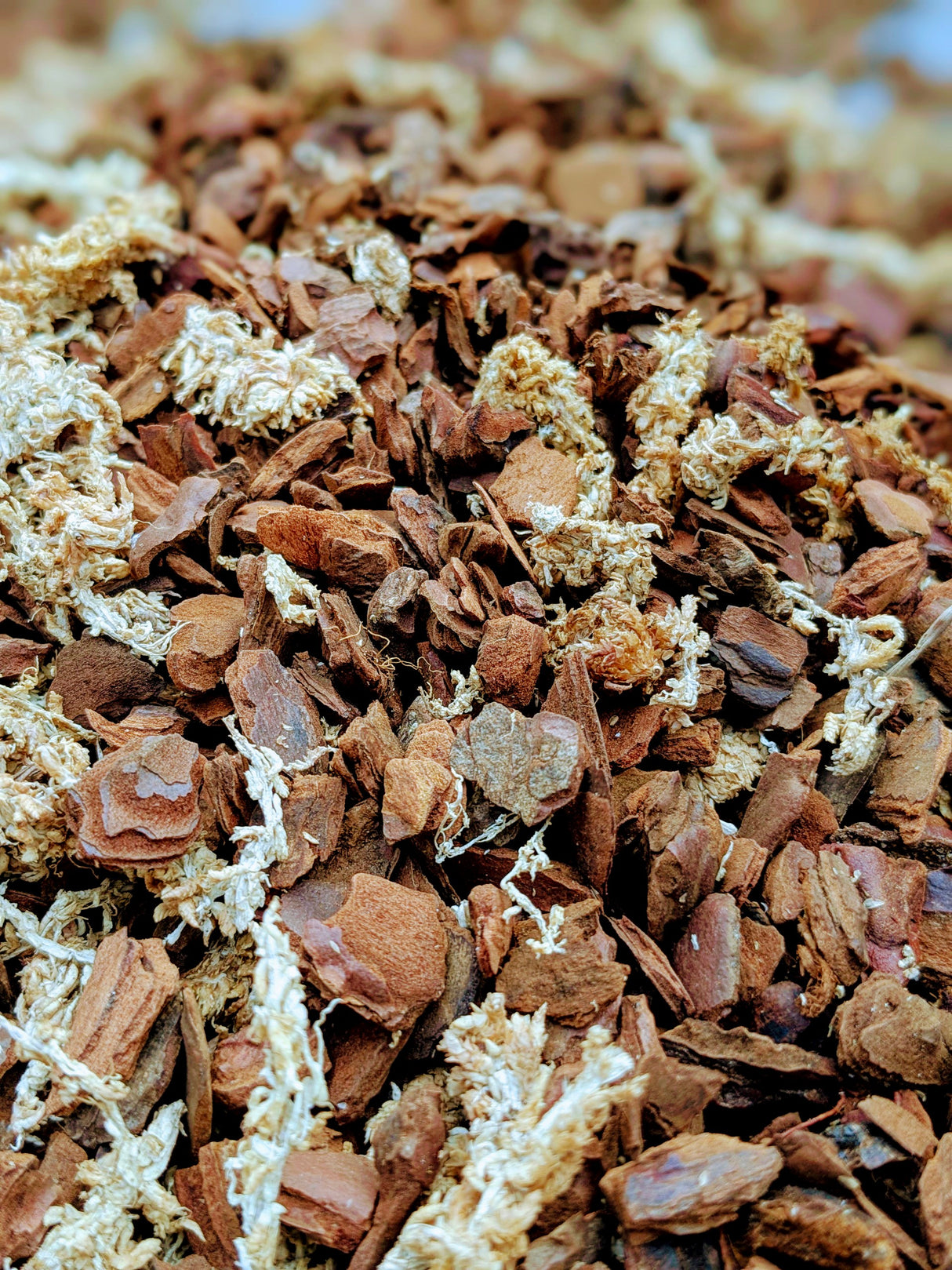 substrat fin pour orchidées