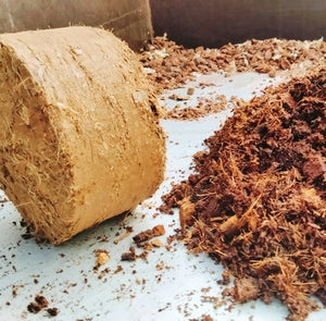 substrat tourbe de coco