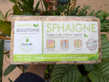 Sphaigne du Chili