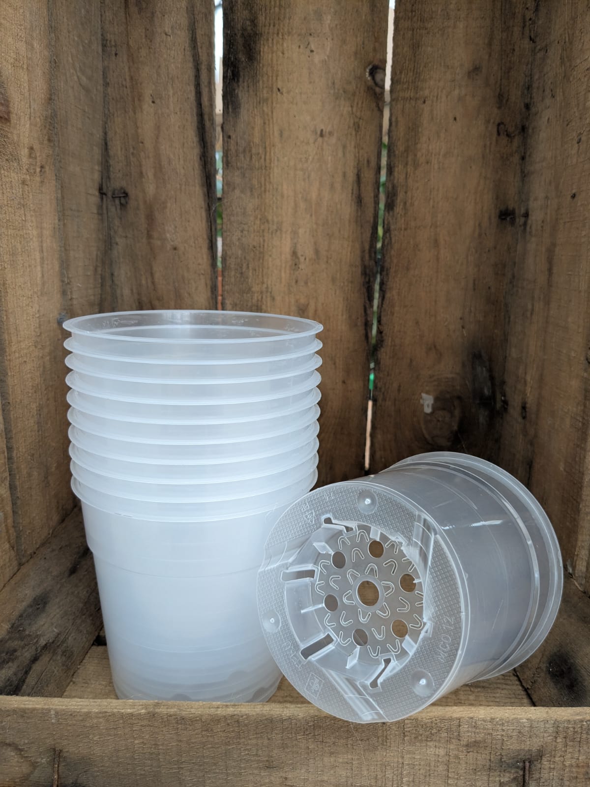 Transparent pots 12 cm