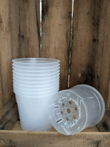 Transparent pots 12 cm