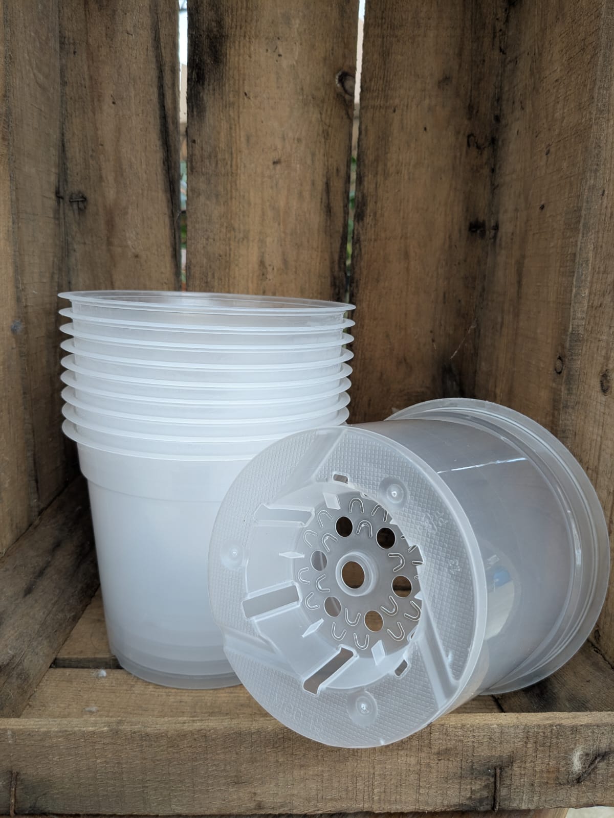 Transparent pots 15cm