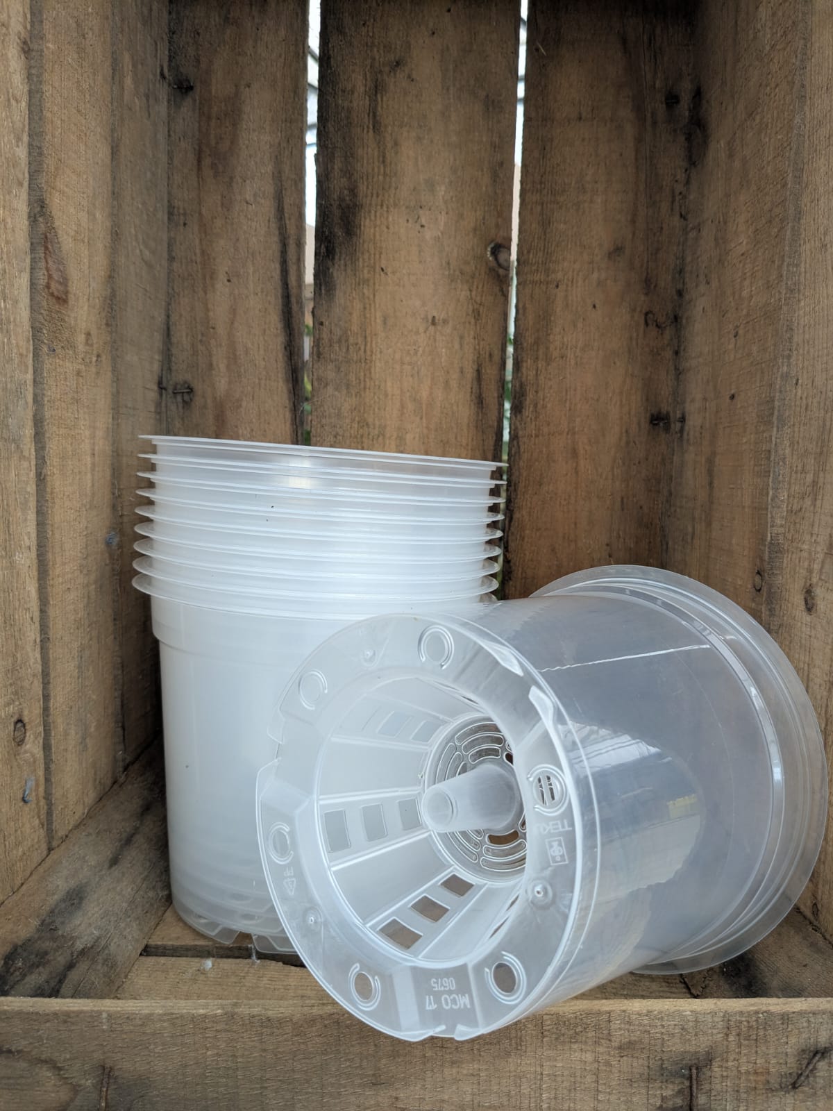 Pots transparents 17cm