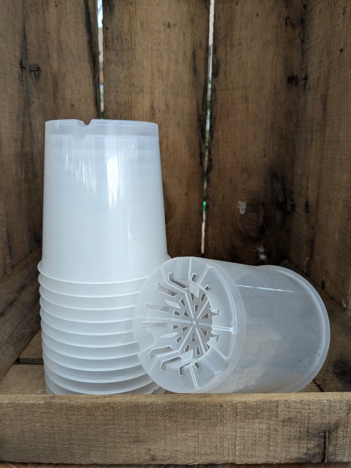 9.5 cm transparent pots