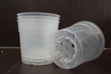 Transparent pots 12 cm