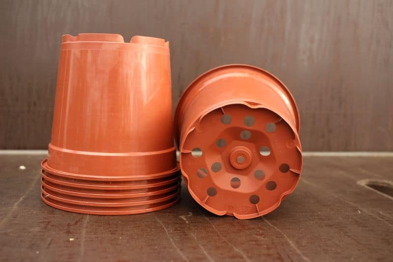 Pot plastique 15 cm