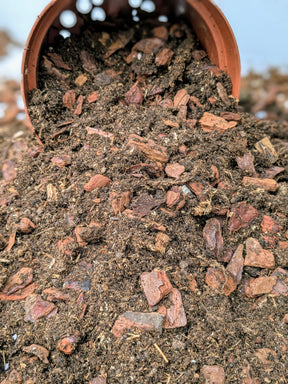 Substrat pour orchidées cymbidium