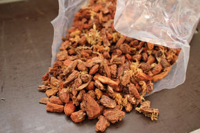 substrat orchidees standard